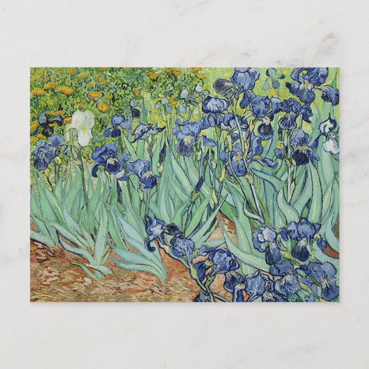 Carte Postale Irises par Vincent van Gogh (Devant)
