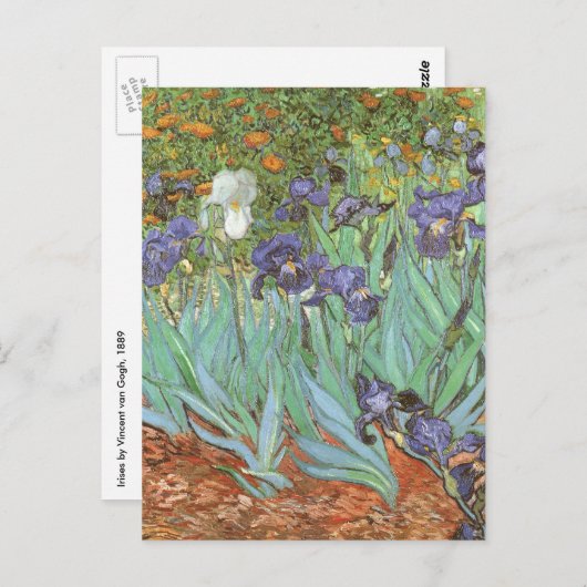 Carte Postale Irises par Vincent van Gogh (Devant / Derrière)