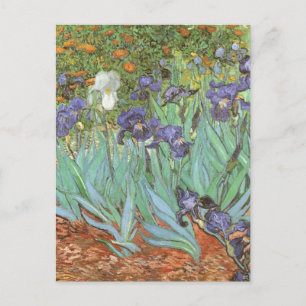Carte Postale Irises par Vincent van Gogh
