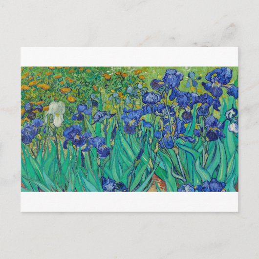 Carte Postale Irises par Vincent van Gogh (Devant)