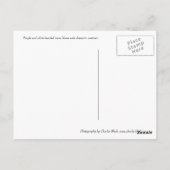 Carte Postale Irises pourpres et blanches (Dos)