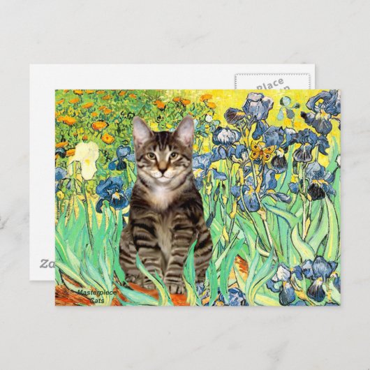 Carte Postale Irises - Tabby Tiger cat 30 (Devant / Derrière)