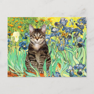 Carte Postale Irises - Tabby Tiger cat 30
