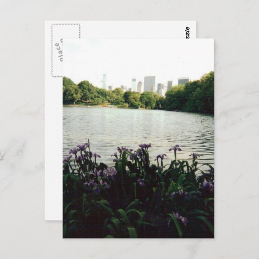 Carte Postale irisesmmm 001 (Devant / Derrière)