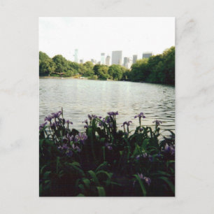 Carte Postale irisesmmm 001