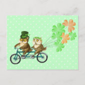 Carte Postale Irish bicyс le owls with clover baloons (Devant)
