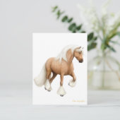 Carte postale Irish Cob Horse (Debout devant)
