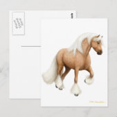 Carte postale Irish Cob Horse (Devant / Derrière)