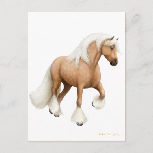 Carte postale Irish Cob Horse (Devant)