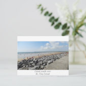 Carte postale Irish Images (Debout devant)