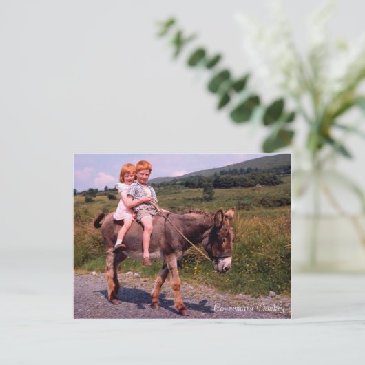 Carte postale Irish Images (Debout devant)