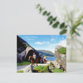 Carte postale Irish Images (Debout devant)