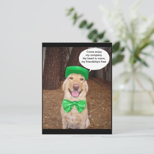 Carte Postale Irish Lab Dit (Debout devant)