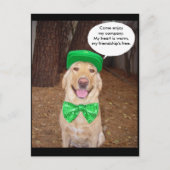 Carte Postale Irish Lab Dit (Devant)