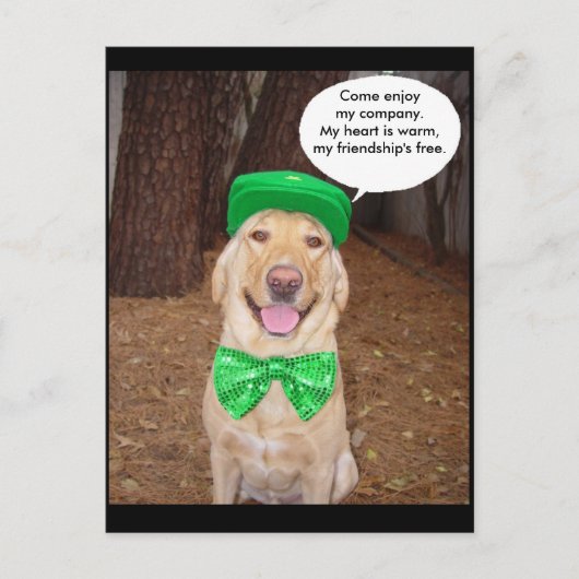 Carte Postale Irish Lab Dit (Devant)