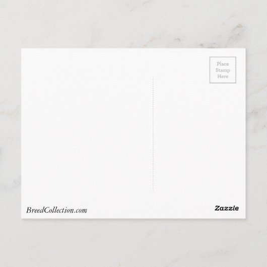 Carte Postale Irish Setter Conduire une voiture avec un arbre su (Dos)