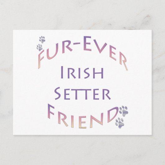 Carte Postale Irish Setter Furever (Devant)