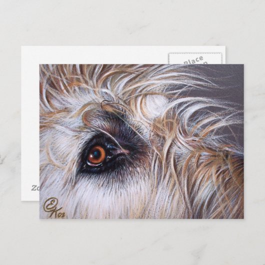 Carte Postale Irish Wolfhound (Devant / Derrière)