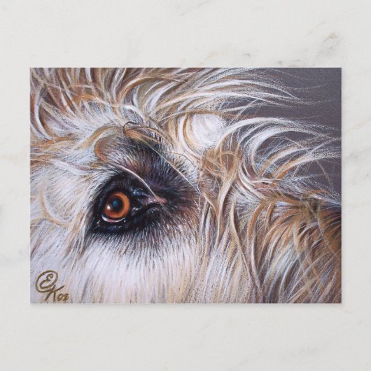 Carte Postale Irish Wolfhound (Devant)