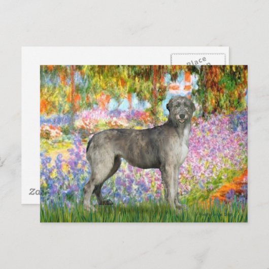 Carte Postale Irish Wolfhound 3 - Garden (Devant / Derrière)