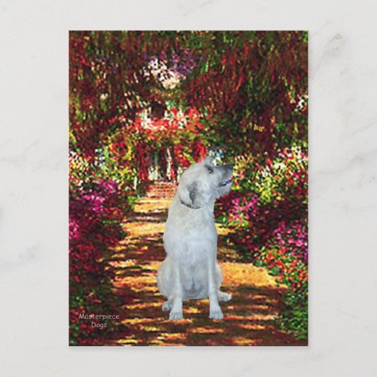 Carte Postale Irish Wolfhound 4 - La voie (Devant)