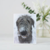 Carte Postale irish wolfhound playing in the snow (Debout devant)
