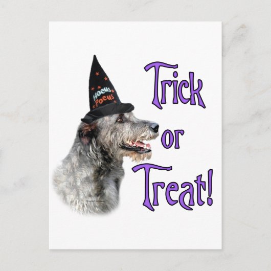 Carte Postale Irish Wolfhound Trick (Devant)