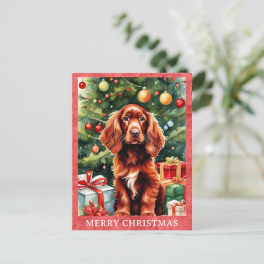 Carte Postale Irlandais Setry Joyeux Noël mignon Chien Chien Chi (Debout devant)