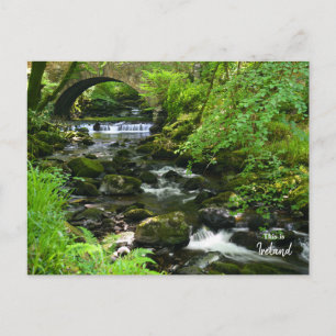 Carte Postale Irlandais Vert- Irlande