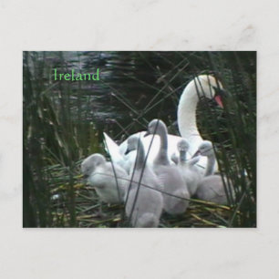 Carte postale irlandaise