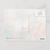 Carte postale irlandaise (Peacock blanc) (Dos)