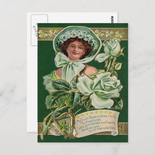Carte Postale Irlandaise Rose Shamrock Clay Pipe Harp (Devant / Derrière)