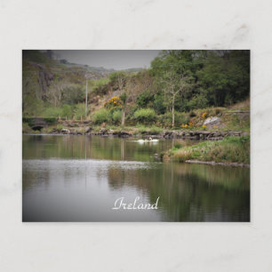 Carte Postale Irlande, Comté Cork, Lac, Cygnes, Photographie