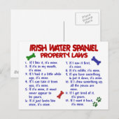 Carte Postale IRLANDE EAU ESPAGNE Propriété Lois 2 (Devant / Derrière)