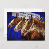 Carte Postale Iron Horse 3 Heads (Devant / Derrière)