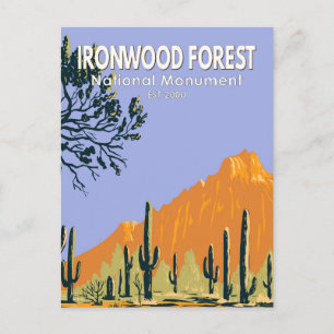 Carte Postale Ironwood Forest National Monument Arizona Vintage