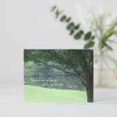 Carte Postale Isaiah 30:15 Quietness and confidence shall.. (Debout devant)