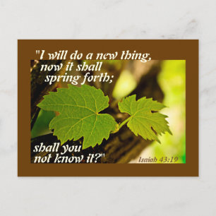 Carte Postale Isaiah 43:19 Bible I veut do a new thing