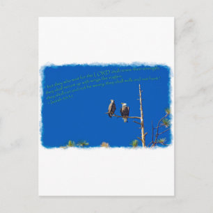 Carte Postale Isaïe 40:31 Bord blanc