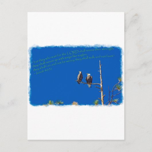 Carte Postale Isaïe 40:31 Bord blanc (Devant)