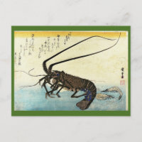 Iseebi & Ebi - Poisson des oiseaux (homard épineux