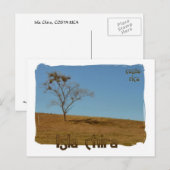 Carte Postale Isla de Chira (Devant / Derrière)