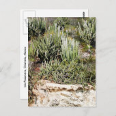 Carte Postale Isla Passavera, Chamela, Mexique (Devant / Derrière)