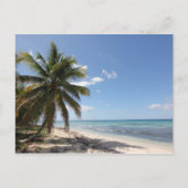 Carte Postale Isla Saona Caribbean Paradise Beach (Devant)