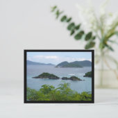 Carte Postale Island Group (Debout devant)