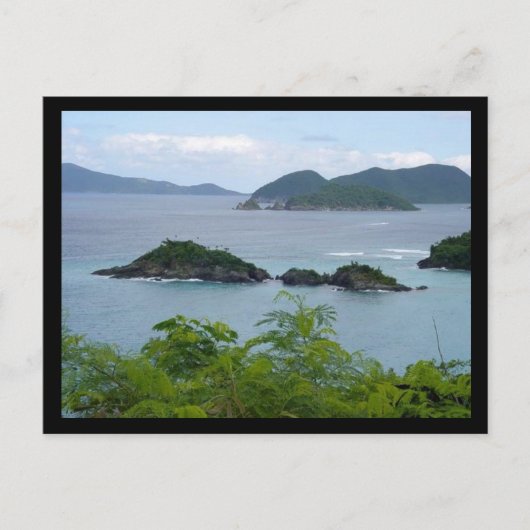 Carte Postale Island Group (Devant)