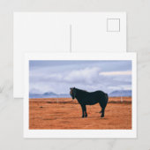 Carte postale islandaise noire (Devant / Derrière)