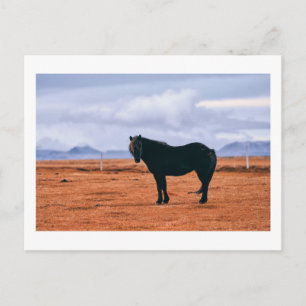 Carte postale islandaise noire