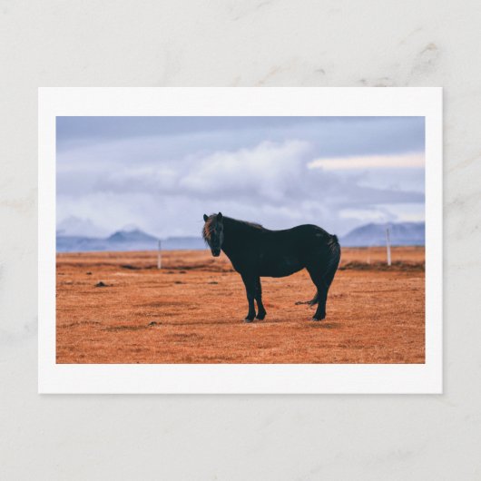 Carte postale islandaise noire (Devant)