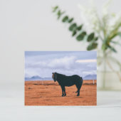 Carte postale islandaise noire (Debout devant)